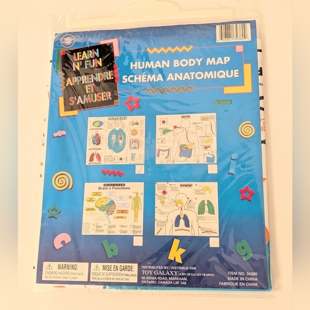 Human Body Map Educational Poster